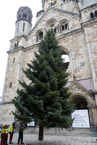 Weihnachtsbaumaufstellung auf dem Breitscheidplatz in Berlin