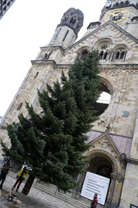 Weihnachtsbaumaufstellung auf dem Breitscheidplatz in Berlin