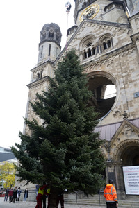Weihnachtsbaumaufstellung auf dem Breitscheidplatz in Berlin