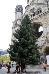 Weihnachtsbaumaufstellung auf dem Breitscheidplatz in Berlin