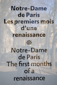 Wiederaufbau der Kathedrale Notre-Dame de Paris