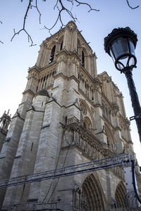 Wiederaufbau der Kathedrale Notre-Dame de Paris
