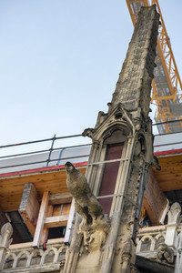 Wiederaufbau der Kathedrale Notre-Dame de Paris