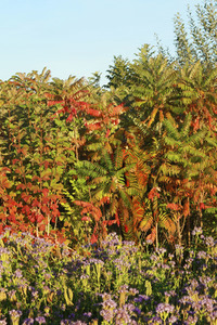 NATURE ART: Bodypainting Herbstimpressionen