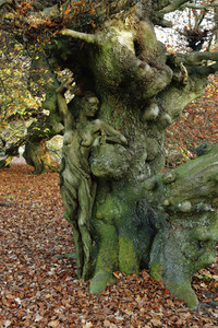 NATURE ART: Bodypainting Herbstimpressionen