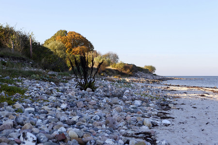 NATURE ART: Bodypainting Herbstimpressionen