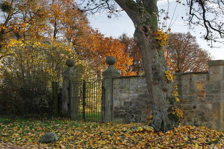 NATURE ART: Bodypainting Herbstimpressionen