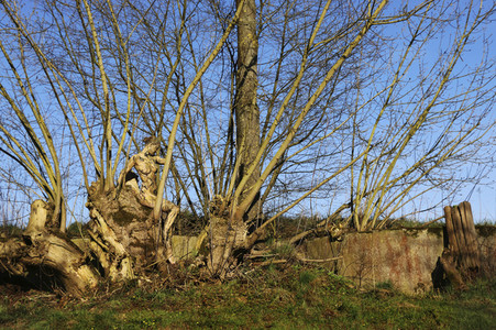 NATURE ART: Bodypainting Herbstimpressionen
