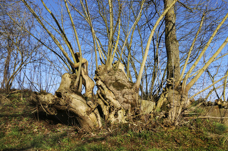 NATURE ART: Bodypainting Herbstimpressionen