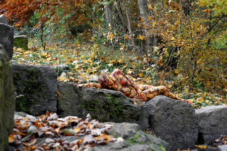 NATURE ART: Bodypainting Herbstimpressionen