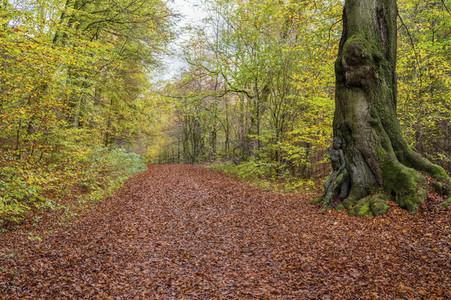 NATURE ART: Bodypainting Herbstimpressionen