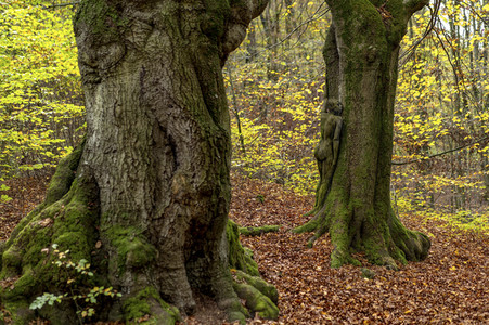 NATURE ART: Bodypainting Herbstimpressionen