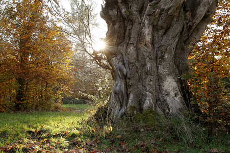 NATURE ART: Bodypainting Herbstimpressionen