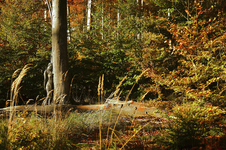 NATURE ART: Bodypainting Herbstimpressionen