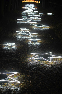 Feierliche Eröffnung von 'Weihnachten im Tierpark' in Berlin
