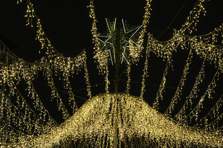 Weihnachtsmarkt in Essen