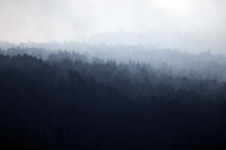 Vulkanausbruch auf La Palma