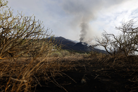Vulkanausbruch auf La Palma