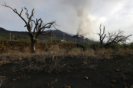 Vulkanausbruch auf La Palma