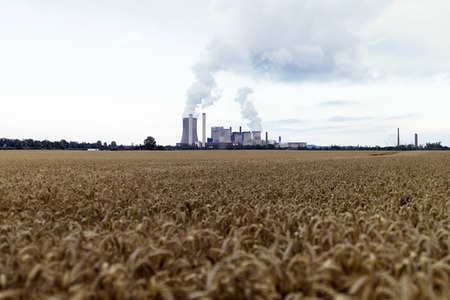 Das Braunkohle-Kraftwerk Niederaußem