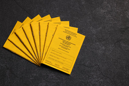 Symbolfoto Impfpass