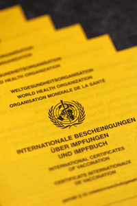 Symbolfoto Impfpass