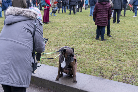 Coronaproteste in Potsdam