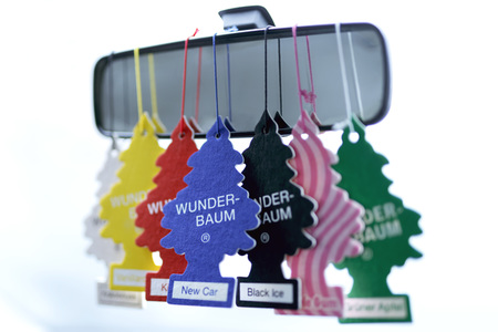 Symbolfoto Wunder-Baum