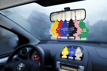 Symbolfoto Wunder-Baum