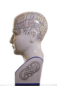 Symbolfoto Phrenologie