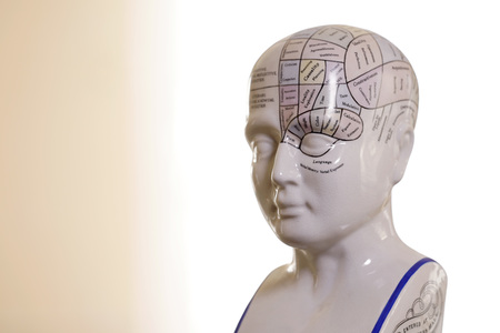 Symbolfoto Phrenologie