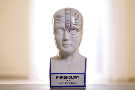 Symbolfoto Phrenologie
