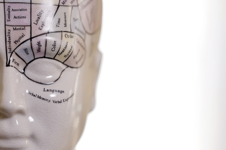 Symbolfoto Phrenologie