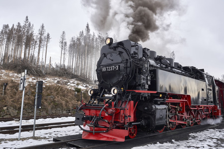 Harzer Schmalspurbahn in Schierke