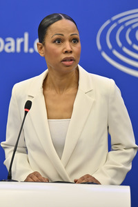 Pressekonferenz der Fraktion Die Grünen/EFA im EU-Parlament in Straßburg