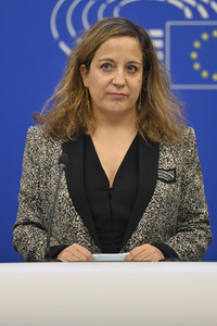 Pressekonferenz der Fraktion S&D im EU-Parlament in Straßburg