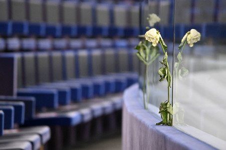 Wahl der Vizepräsidenten des Europäischen Parlaments in Straßburg