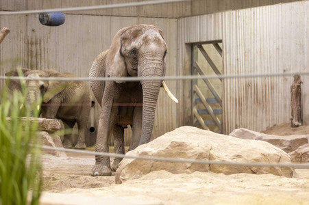 Inventur im Thüringer Zoopark Erfurt