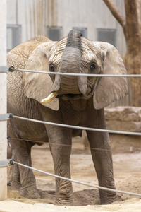 Inventur im Thüringer Zoopark Erfurt