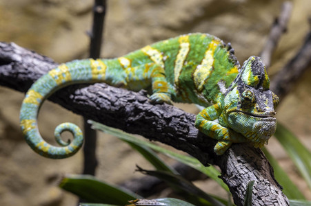 Inventur im Thüringer Zoopark Erfurt
