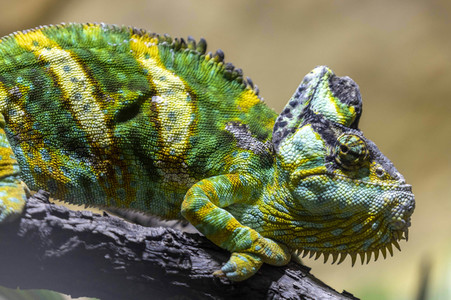Inventur im Thüringer Zoopark Erfurt