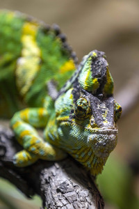 Inventur im Thüringer Zoopark Erfurt