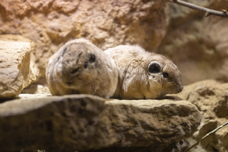 Inventur im Thüringer Zoopark Erfurt