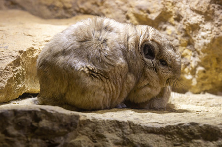 Inventur im Thüringer Zoopark Erfurt