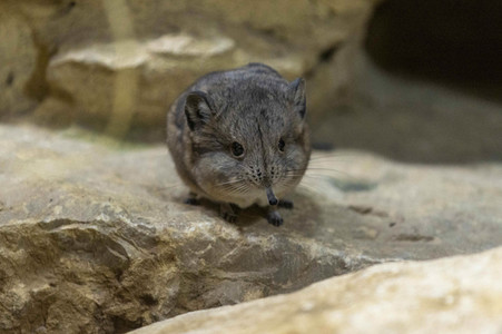 Inventur im Thüringer Zoopark Erfurt