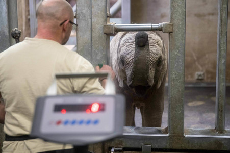 Inventur im Thüringer Zoopark Erfurt