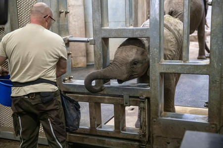 Inventur im Thüringer Zoopark Erfurt