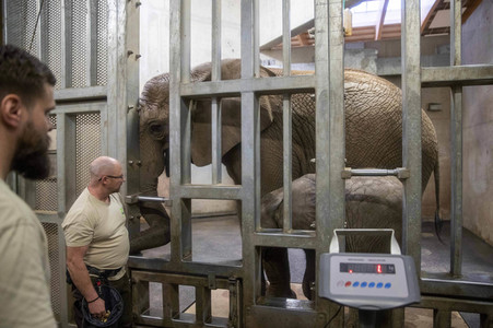Inventur im Thüringer Zoopark Erfurt