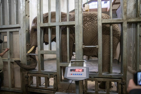 Inventur im Thüringer Zoopark Erfurt
