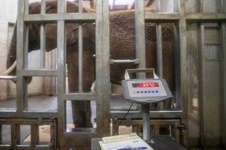 Inventur im Thüringer Zoopark Erfurt